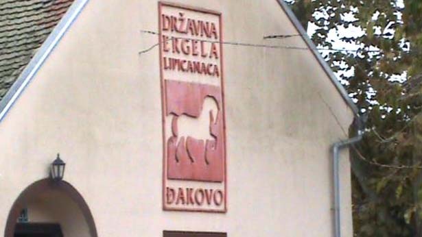 d01