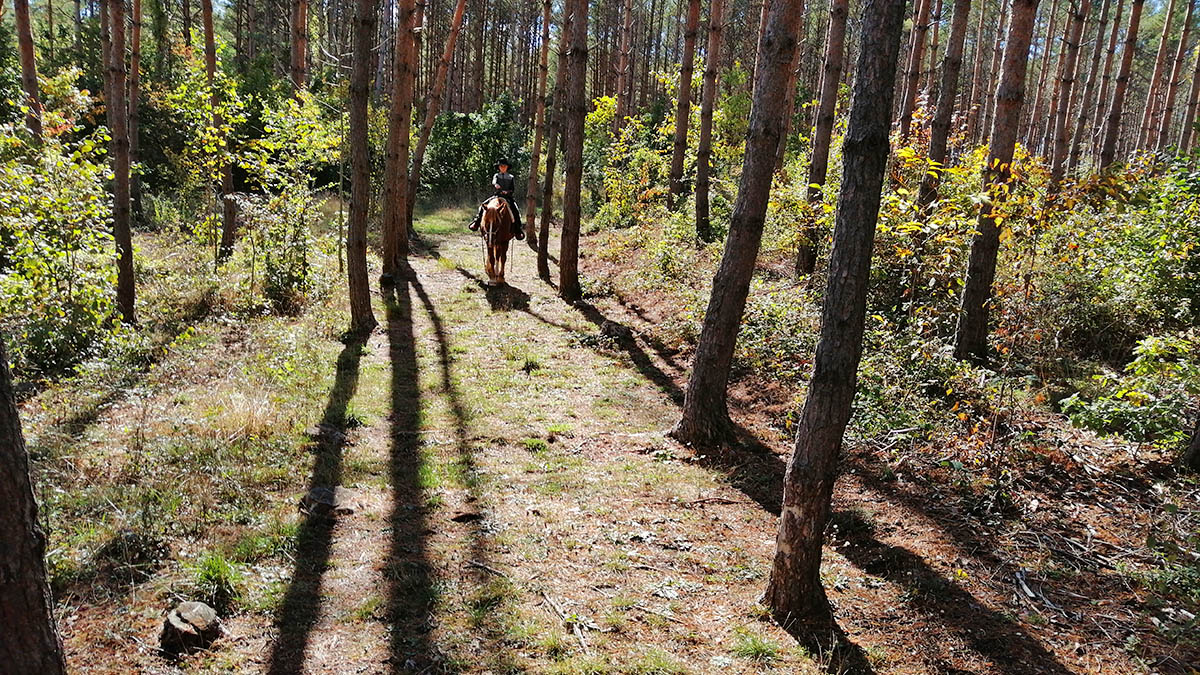 IMG_20201018_04